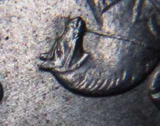 1-IMG_3368.JPG