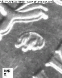 123.gif