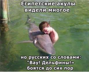 12.02.2016-007.jpg