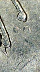 14110614414625115864.jpg