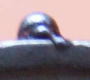 dsc01790.jpg